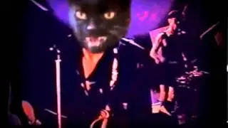 Цой-Котэ по имени Солнце