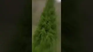 #FPV