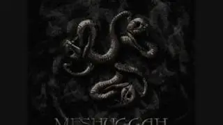Meshuggah - In Death - Is Death
