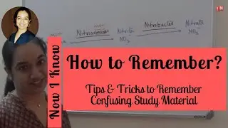 How to Remember | Fun Tips & Tricks to Remember Confusing Study Material