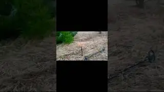 Не ожидал найти складень