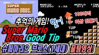 추억의 게임_슈퍼 마리오 브로스(Super Mario Bros.) _ Good Tip Video -100마리 이상 만들기 영상! 및 배경음악