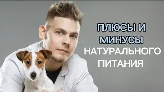 Плюсы и минусы натурального питания.