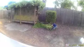 Fake scooter fall
