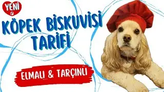 Evdeki Malzemelerle Köpek Bisküvisi Tarifi