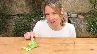 Mache mit! Das Schneckenprojekt 2