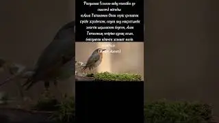хадис #құран #иман #құранаяты #сүре #сира #ұстаз #аср #наср #ықылас