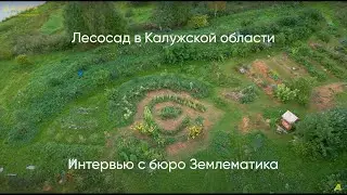 Лесосад в Калужской области. Интервью с Татьяной Федоровой