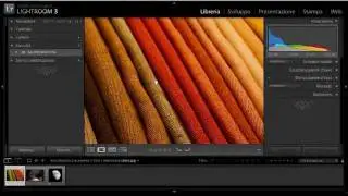primi passi con Lightroom