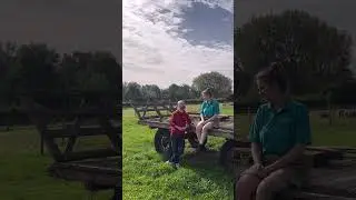 Apple Day: Sheep!