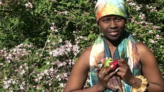 I´M Placebo I AM The Good Effect I´M The Solution Of Every Situation That´s Draining 💚