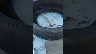 Клумба из старой шины