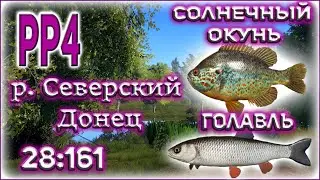 РР4 СЕВЕРСКИЙ ДОНЕЦ СОЛНЕЧНЫЙ ОКУНЬ И ГОЛАВЛЬ