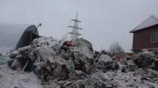 Экосервис жгет мусор