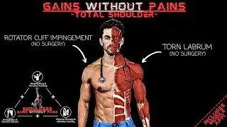 Lifting With Shoulder Pain / Injury? This 10-Week Science-Based Program Will Change Your Life!