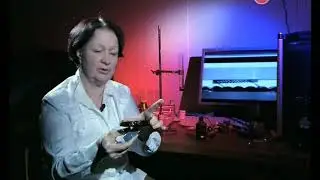 интересные факты . магнетизм . interesting facts