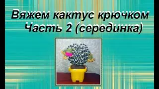 Серединка кактуса (часть2)