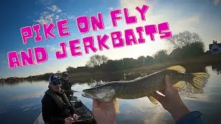 Pike on the fly and jerkbaits