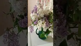 КРАСОТА ТО КАКАЯ! ЛЕПОТА ❗🤗