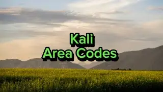 Kali - Area Codes (Clean + Lyrics) @rydandirty9394