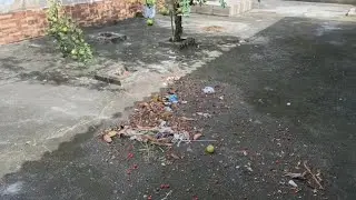 Limpando o quintal, varanda e lavando roupa. 