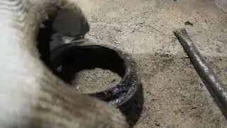 сальник переднего моста SsangYong