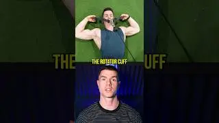 Why You NEED Face Pulls