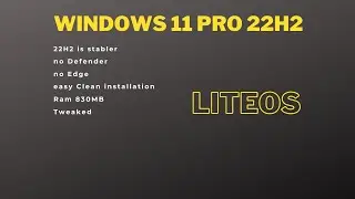 Windows 11 Pro - LiteOS 22H2