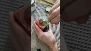 От этого мёда вы будете в восторге 😍