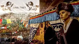 【4K】SAVE TIBET - Christmas Market in Vienna Austria