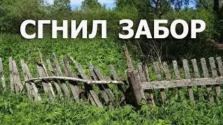 A budget-friendly fence and gate made by yourself