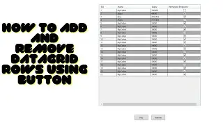 How to Add and Remove DataGrid Rows using Button