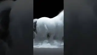 Cold horse 