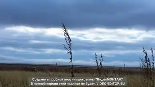 Охота в Аркалыке