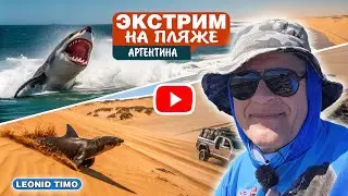 ЭКСТРИМ на ПЛЯЖЕ 🌴: АКУЛЫ, МОРСКИЕ ЛЬВЫ и ПОЕЗДКА ПО ДЮНАМ 🚙