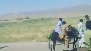 مسابقه  الاغ سواری