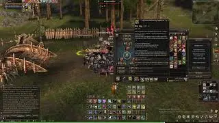 Lineage 2. Лето, жара и линейка. Офф. сервер.