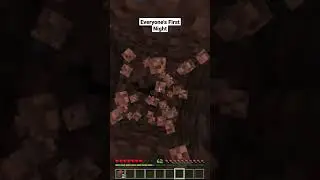 Everyone's First Night In Minecraft
