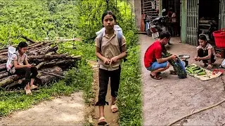 Orphan Girl’s Daily Life Picking Melons & Vegetables to Sell | Struggles of an Orphan Child