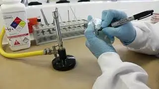 Técnicas de Siembra en Medios de Cultivo: Masiva