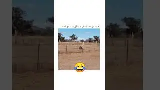 لا تدخل مشاكل مانك قدها 😂 اتحداك ما تفرط من الضحك 🤣