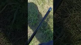 Для карпа то что Надо☝ #carpfishing