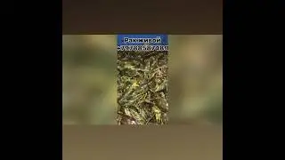 23 сентября 2021 г.