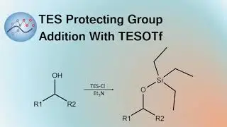 TES Protecting Group Addition With TESOTf | Organic Chemistry