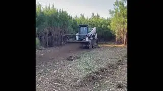 HM70DR Forestry Mulcher & Bobcat T770 In Action! 