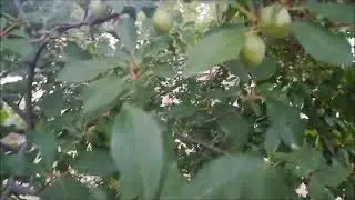 Маленький обзорчик
