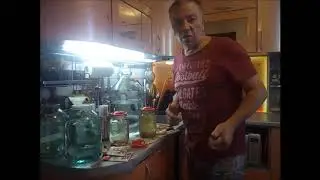 Наборы для настоек из Глобуса