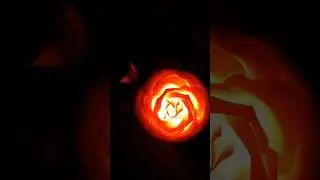 🌹 #скоровесна #праздники #подарки #цветы #flowers #flores #bigflower #nightlight #handemade #present
