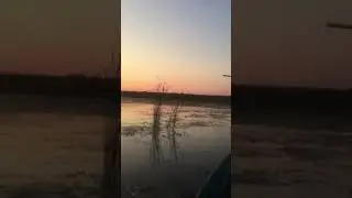 Озеро Сомино открытие охоты 2018
