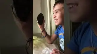 красноухая черепаха Кусается